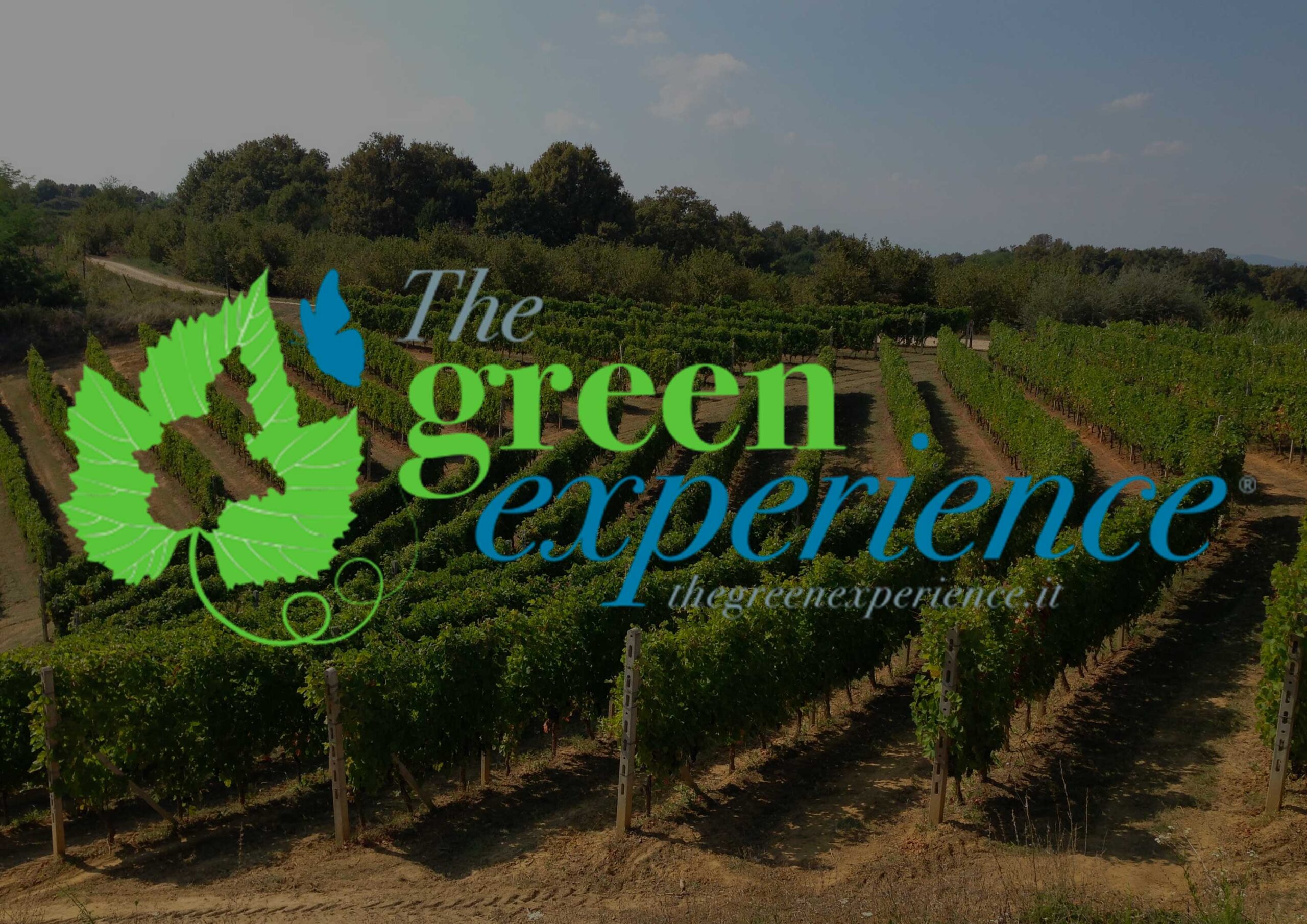 generaj_green_experience